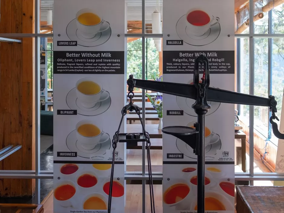 BALENÍ A SERVÍROVÁNÍ ČAJE